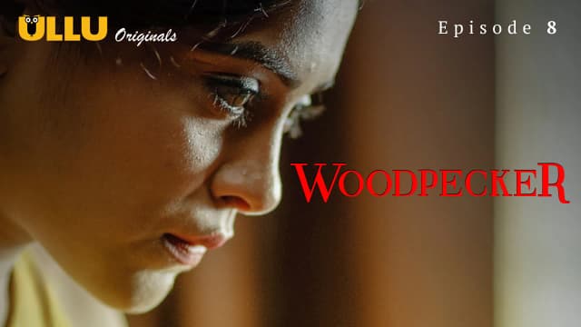 Woodpecker : Episode 8