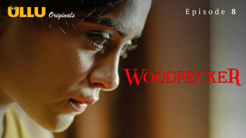 Thumbnail for Woodpecker - Woodpecker : Episode 8